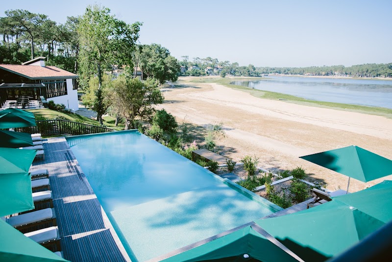 Les Hortensias du Lac